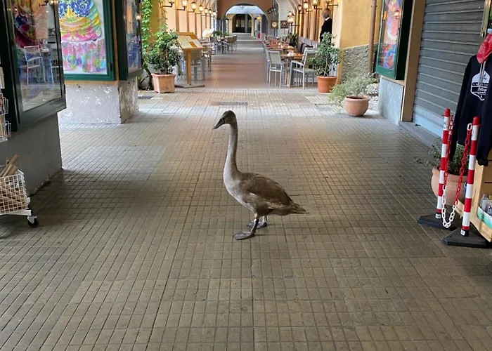 Akasa On Casa de Férias *